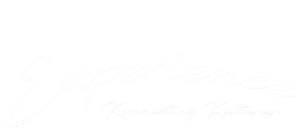 PNG Experience Logo